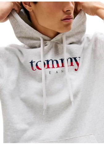 Sudadera TFH Hoodie DNA Gris