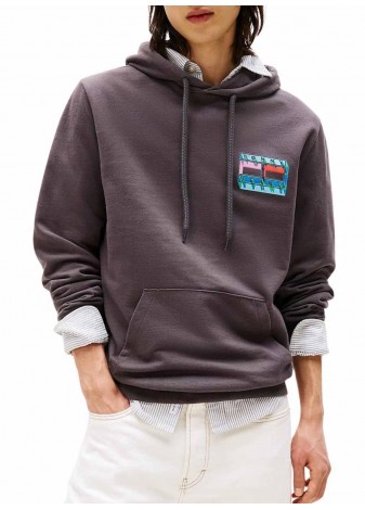 Sudadera Tommy Jeans Reg DNA Flag Play Gris