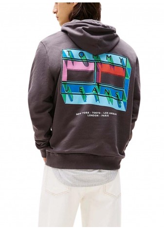 Sudadera Tommy Jeans Reg DNA Flag Play Gris